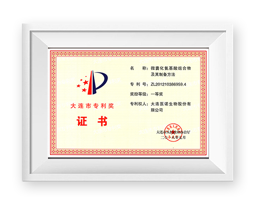 Dalian Patent First Prize